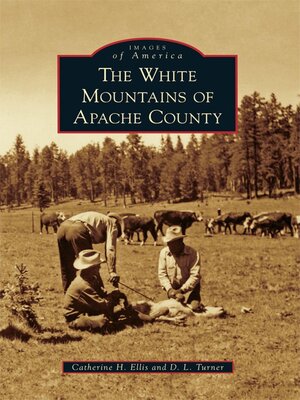 cover image of The White Mountains of Apache County